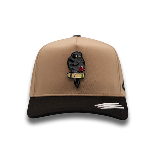 PERICO CAQUI&BLACK